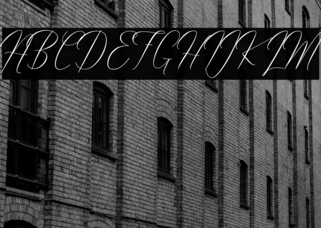 Robertortiz Font examples