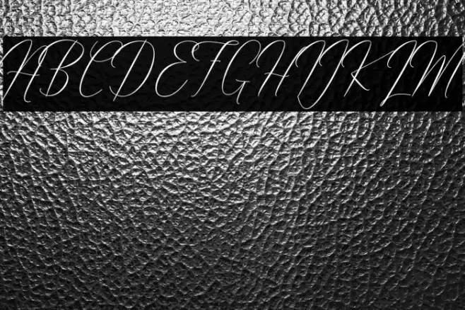 Robertortiz Font examples