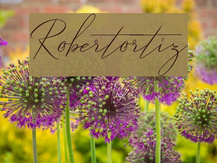 Robertortiz Font examples