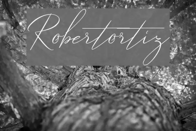 Robertortiz Font examples