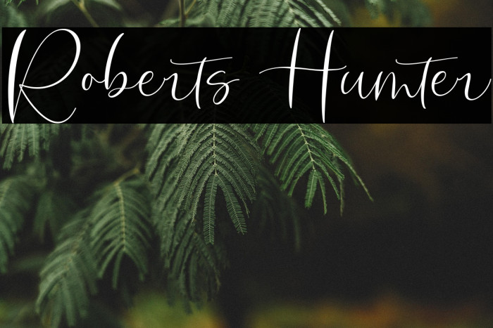 Roberts Humter Example 1