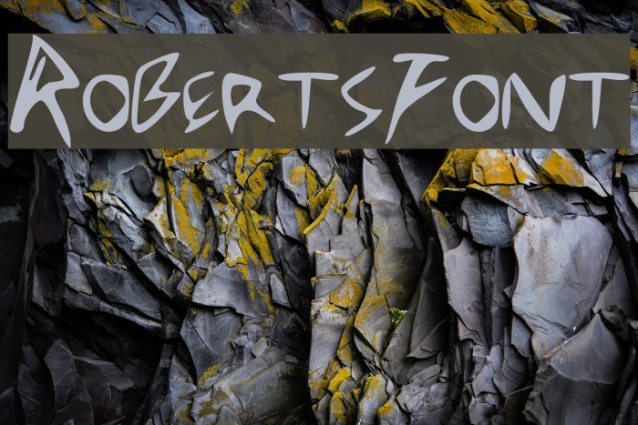 RobertsFont Font examples