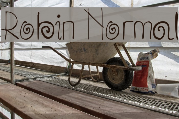 Robin Normal Font examples