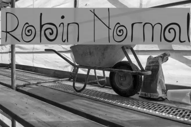 Robin Normal Font examples