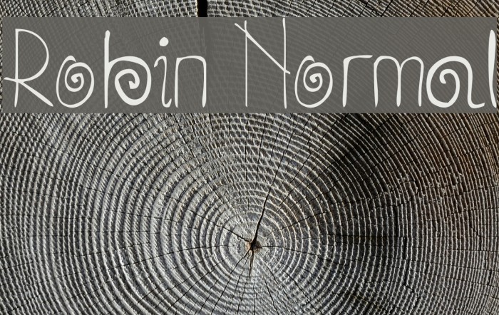 Robin Normal Font examples