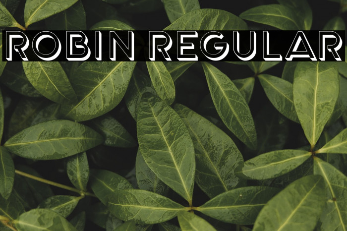 Robin Regular Example 1