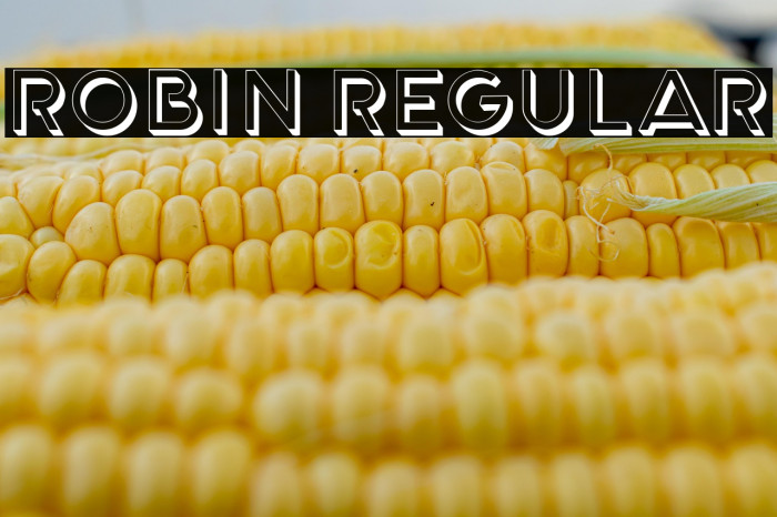 Robin Regular Example 2