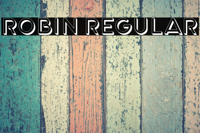 Robin Regular Example 3