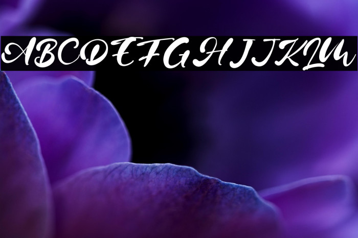 Robin Vera Example 1