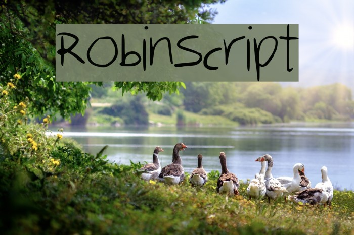 RobinScript Font examples