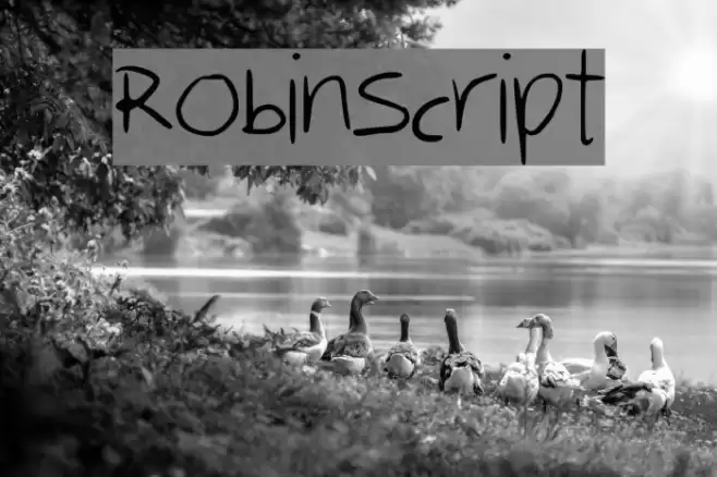 RobinScript Font examples
