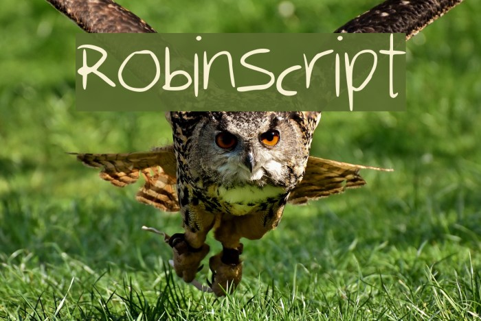 RobinScript Font examples