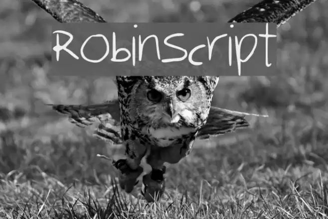 RobinScript Font examples