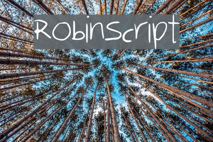 RobinScript Font examples