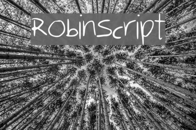 RobinScript Font examples