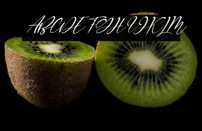 Robinette Italic Example 1