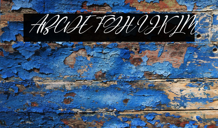 Robinette Italic Example 2