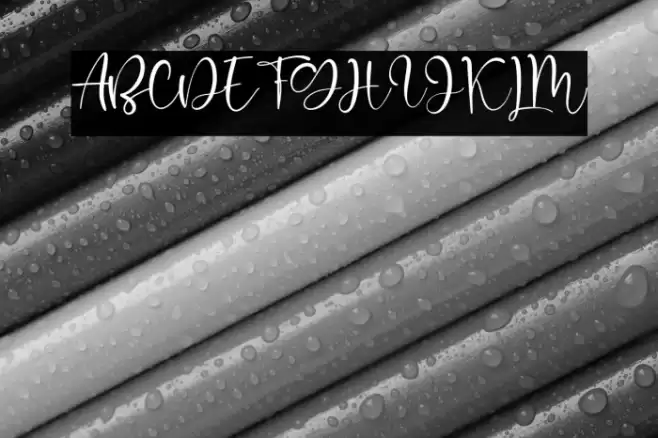 Robinette Font examples