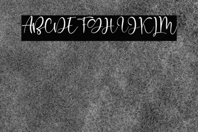 Robinette Font examples