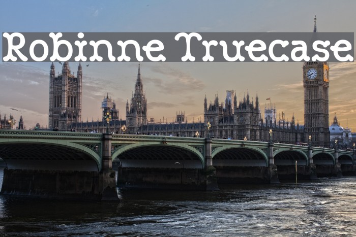 Robinne Truecase Font examples