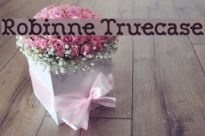 Robinne Truecase Font examples