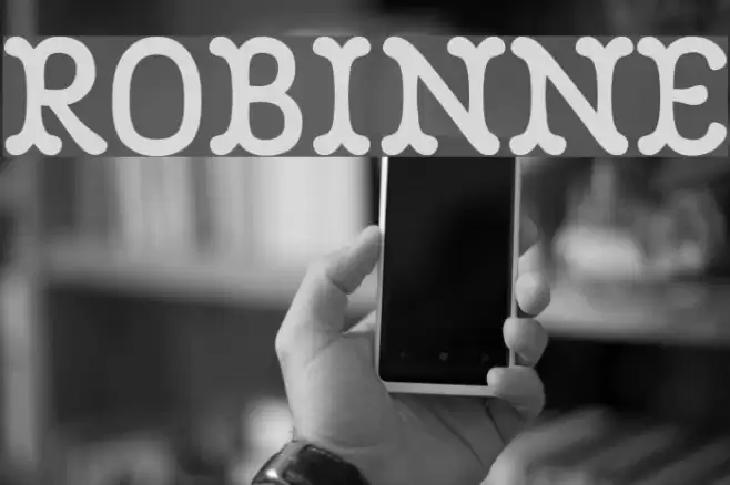 Robinne Font examples
