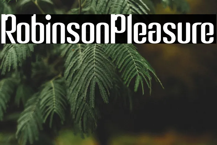 Robinson Pleasure Example 1