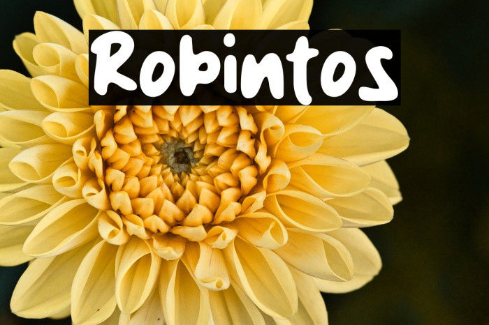 Robintos Example 2