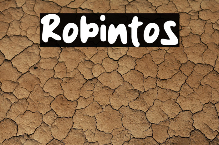 Robintos Example 3