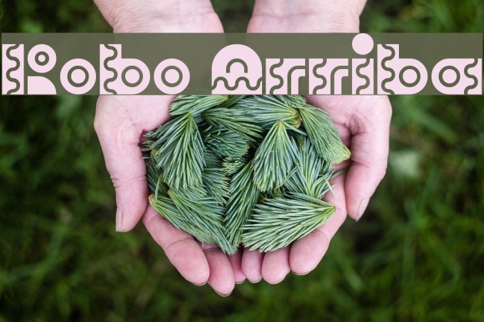 Robo Arriba Example 2