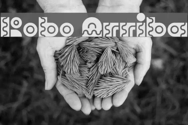 Robo Arriba Font examples