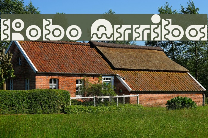 Robo Arriba Example 3