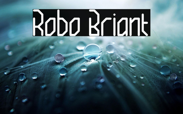 Robo Briant Example 1