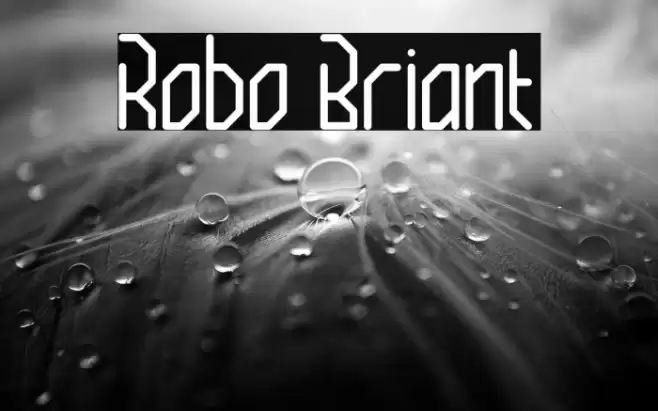 Robo Briant Font examples