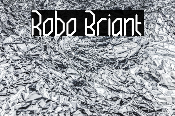 Robo Briant Example 2