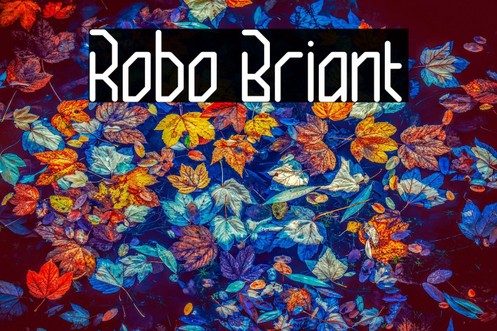 Robo Briant Example 3
