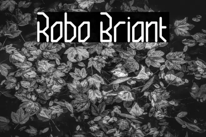 Robo Briant Font examples