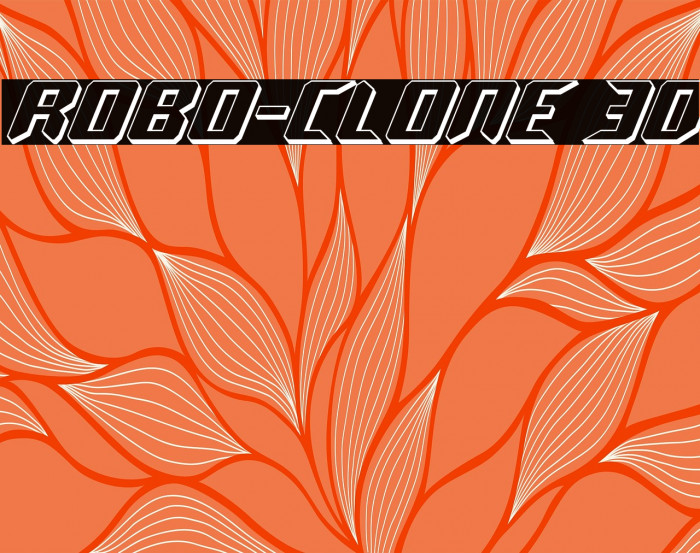 Robo-Clone 3D Example 2