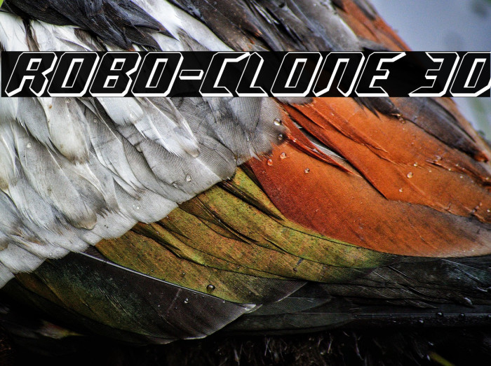 Robo-Clone 3D Example 3