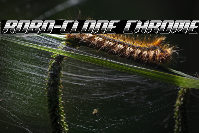 Robo-Clone Chrome Example 3