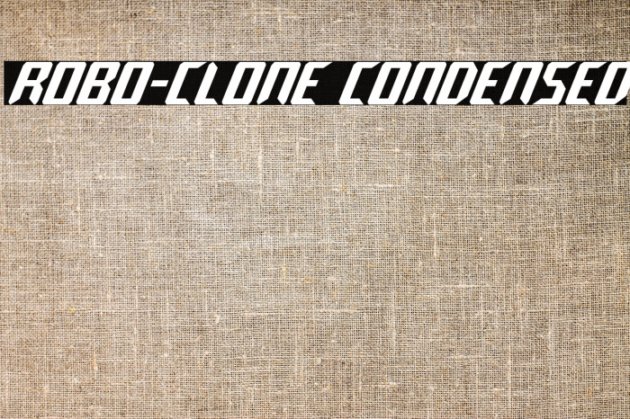 Robo-Clone Condensed Example 1