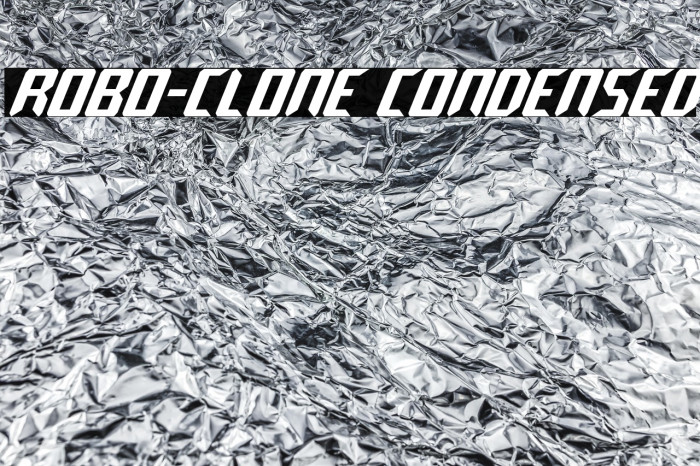 Robo-Clone Condensed Example 2