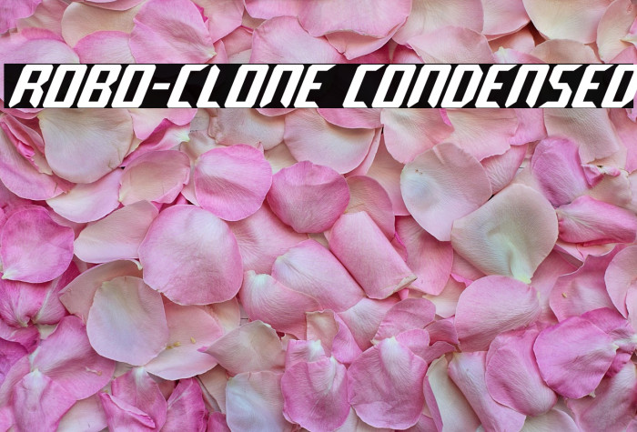 Robo-Clone Condensed Example 3