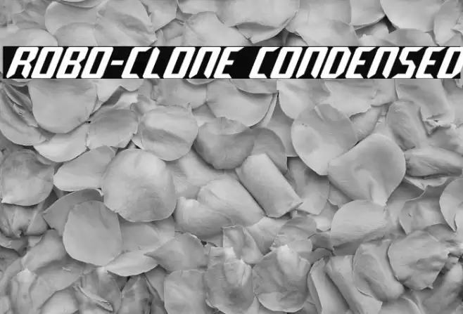 Robo-Clone Condensed Polices examples