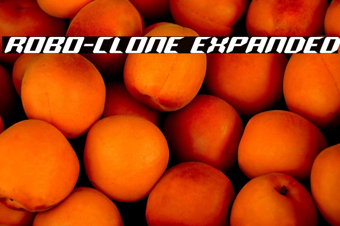 Robo-Clone Expanded Example 1