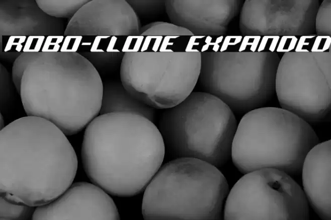 Robo-Clone Expanded Font examples