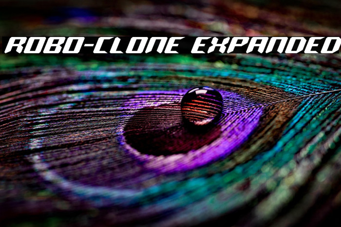 Robo-Clone Expanded Example 2