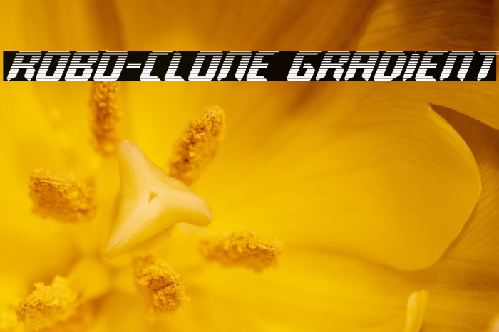Robo-Clone Gradient Example 2