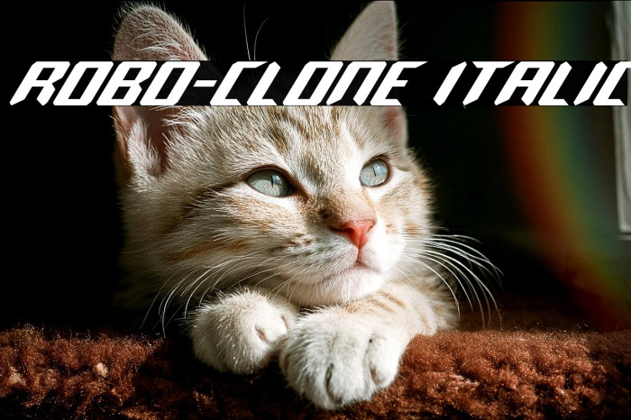 Robo-Clone Italic Example 2