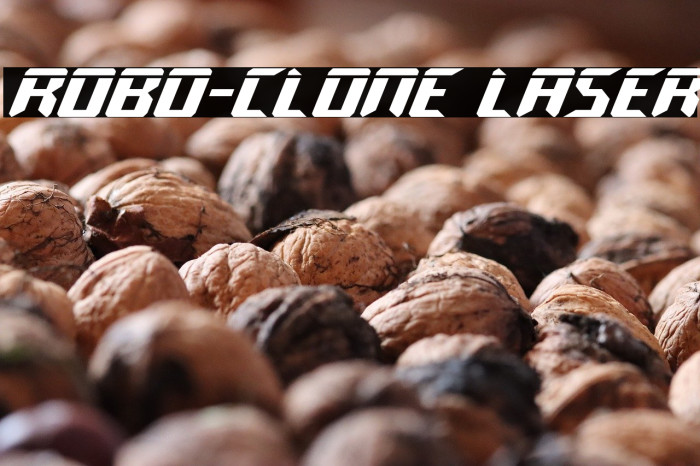 Robo-Clone Laser Example 3